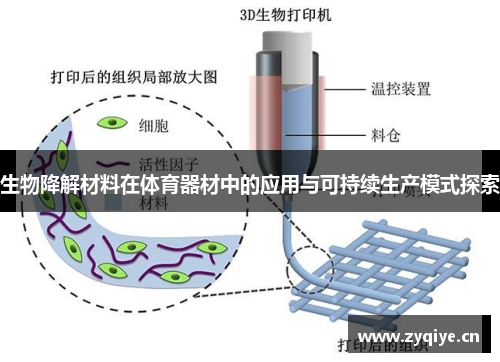 生物降解材料在体育器材中的应用与可持续生产模式探索